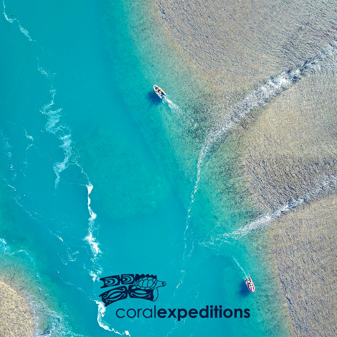A Lens on Nature with Coral Expeditions