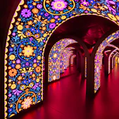 Image of celebrity-xcel