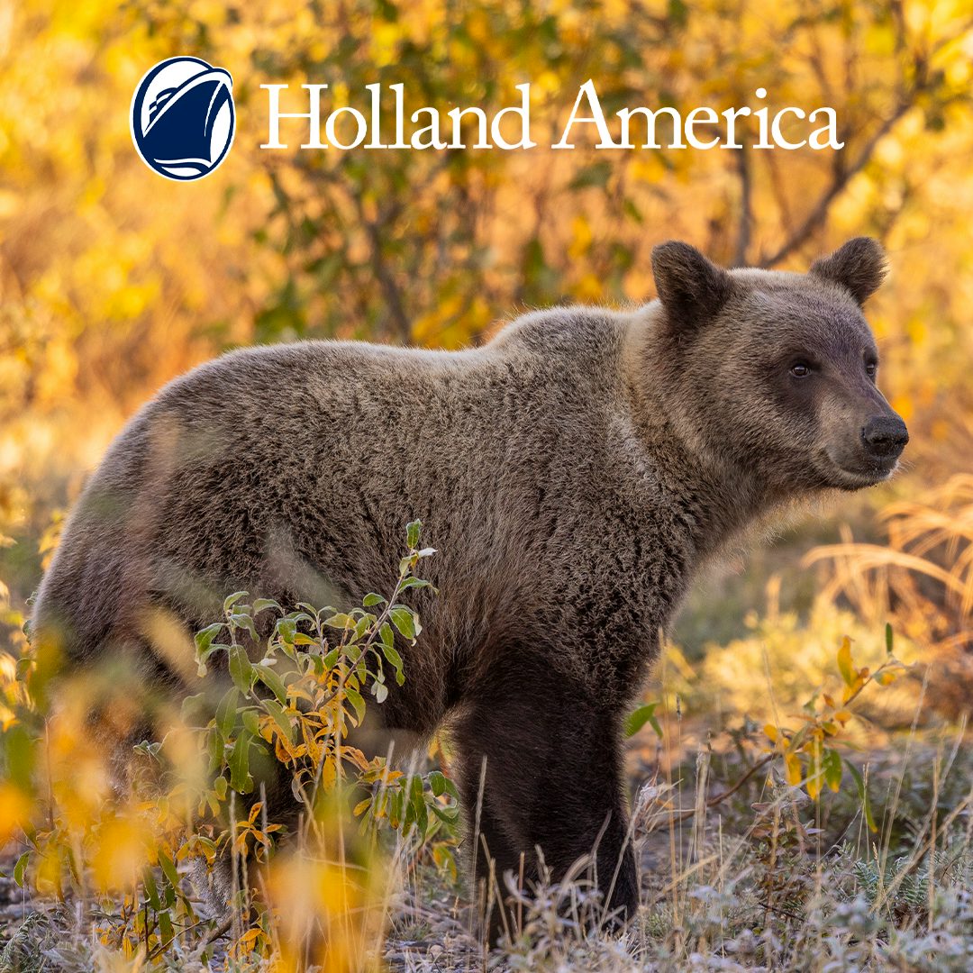 Holland America Line Alaska