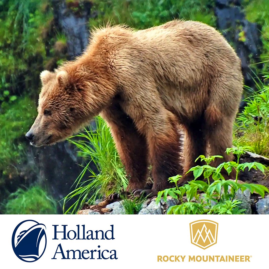 24 Night Fly, Stay, Sail and Rail Ultimate Alaska and Rocky Mountaineer