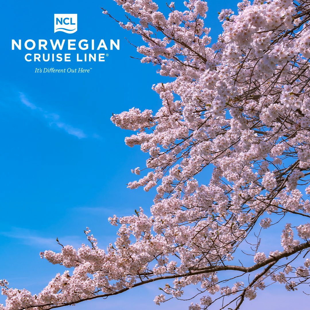 Norwegian Cruise Line Asia Sailings