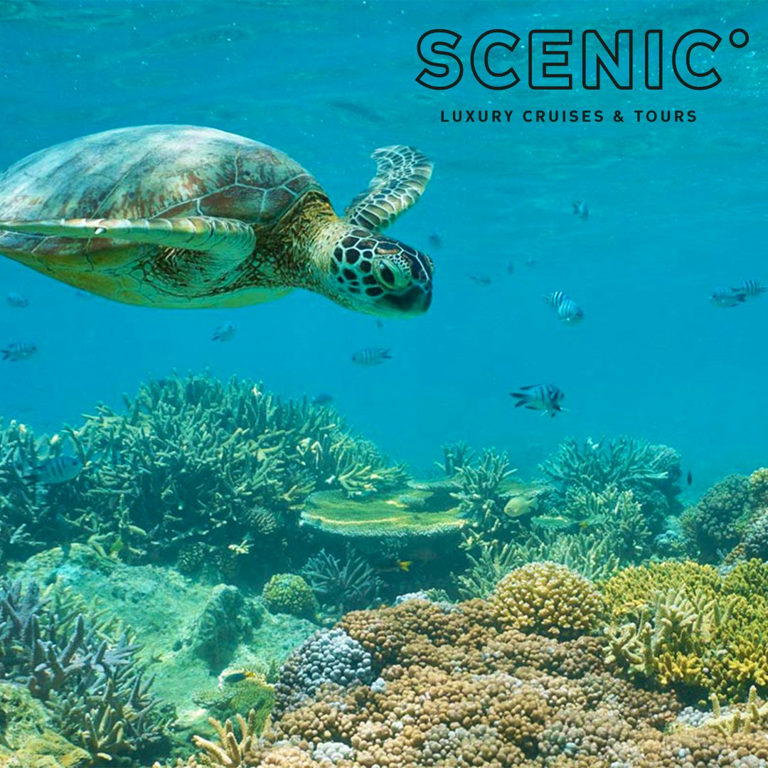 Scenic Select Savings