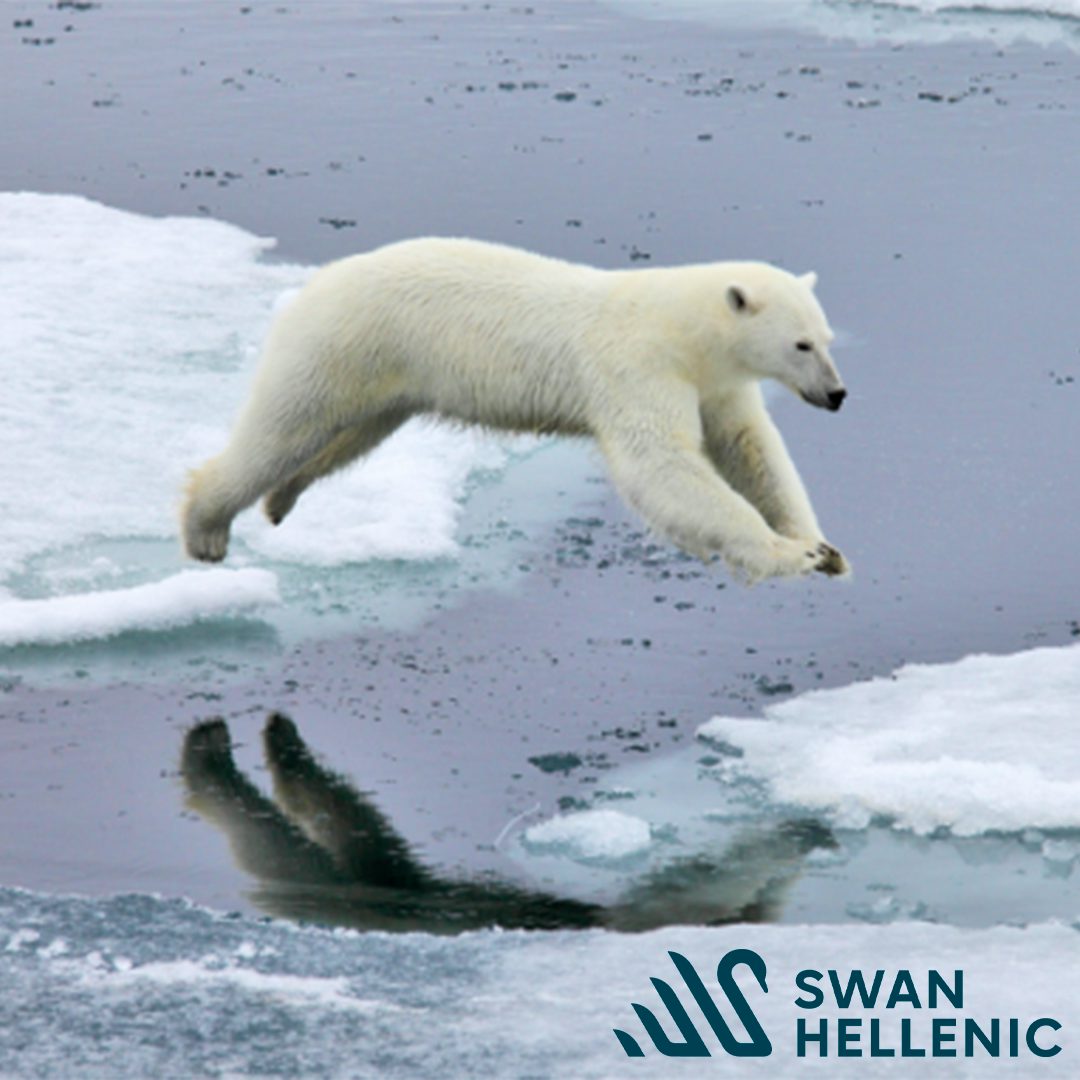 Swan Hellenic Inclusions