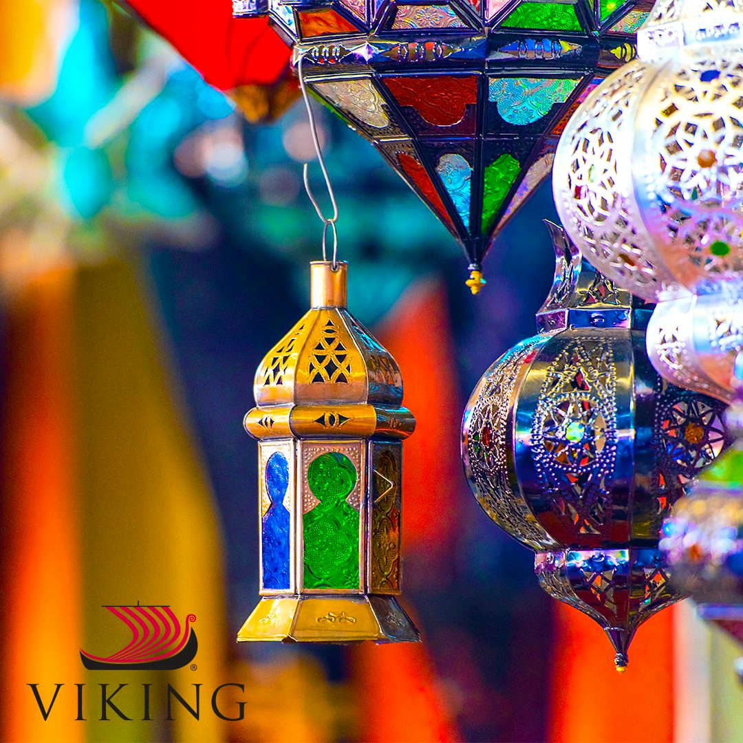 Viking 2029 World Discoveries