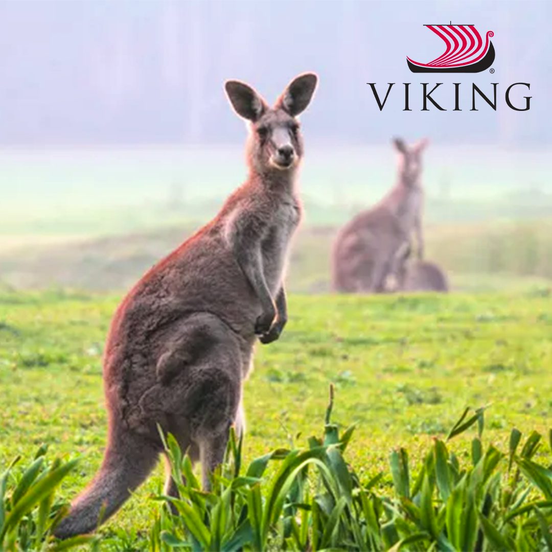 Viking Ocean Close to Home