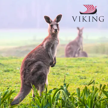 Viking Ocean Close to Home