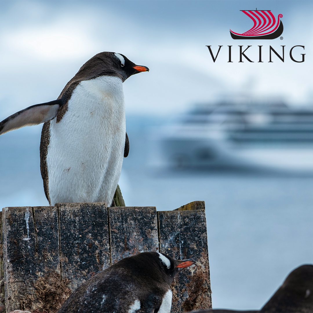 Viking Expeditions Explore Antarctica