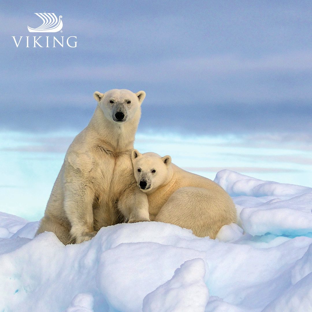 Viking Expedition Explorer Sale