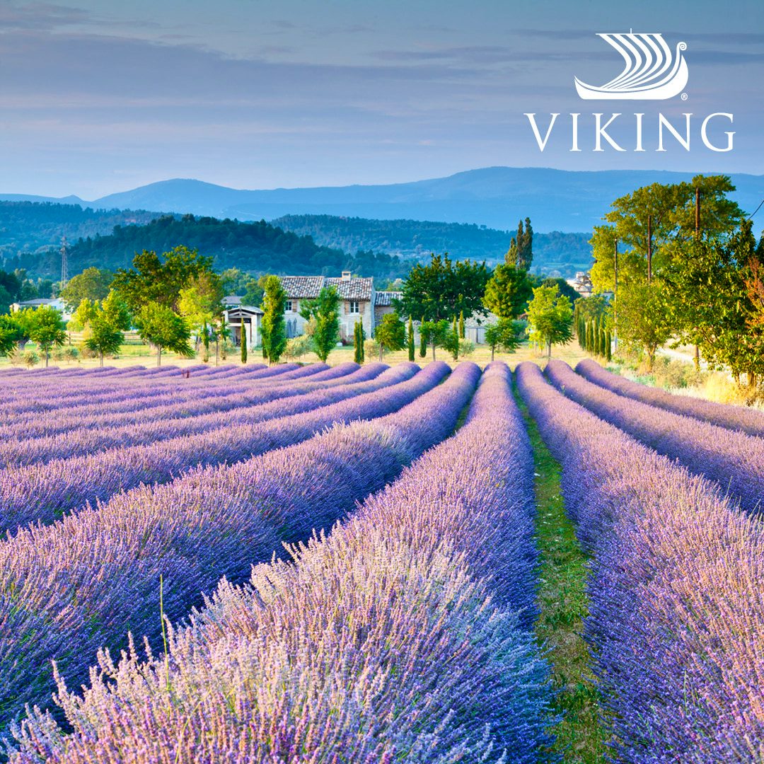 Viking River Hot Deals