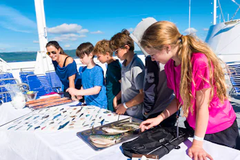 Image of Hurtigruten Expeditions