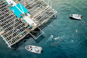 Image of True North Cruises