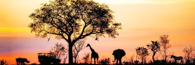 Africa cruise destination