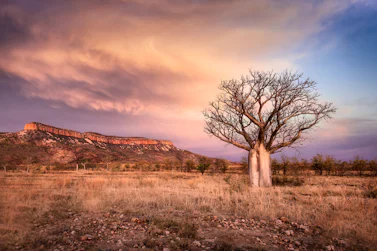 Australia cruise destination