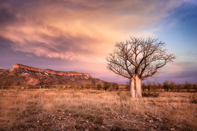 Australia Cruises 2023-2026 | Cruises from Australia $91/day