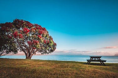 New Zealand cruise destination