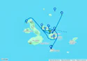 New Cruise