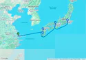 8 NIGHT KOBE, KAGOSHIMA KUMAMOTO