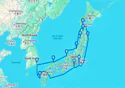 Circle Japan Cherry Blossoms - H709