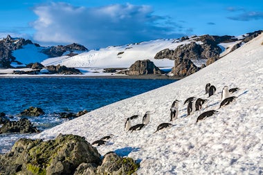 View of South Shetland Islands, Antarctica