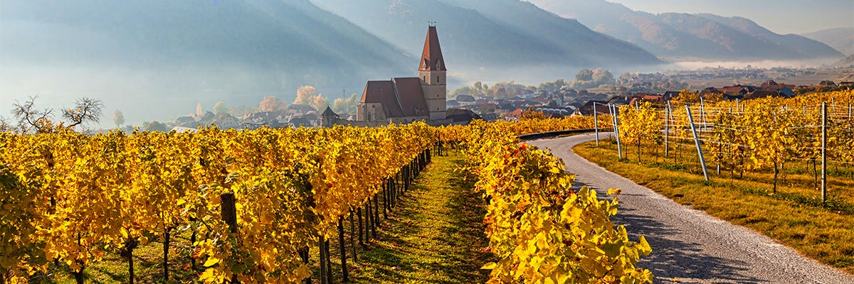 Cruises from Wachau Valley