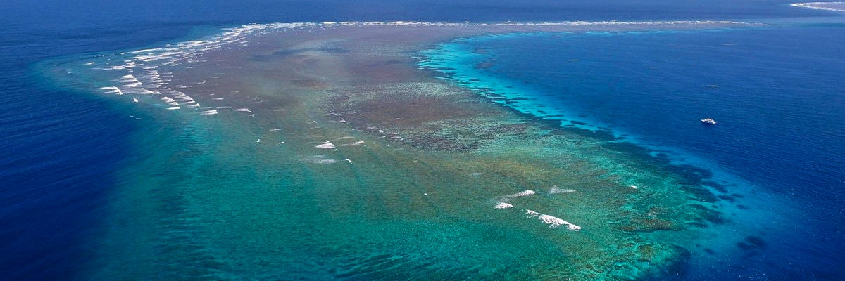 Cruises from Ashmore Reef