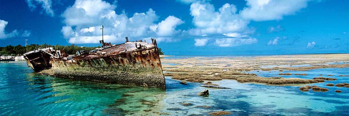 Cruises from Heron Island