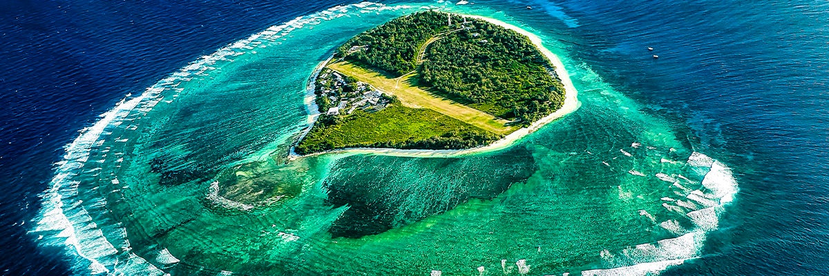 Cruises from Lady Elliot Island