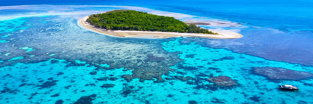 Cruises from Lady Musgrave Island