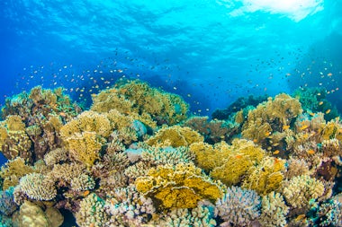 View of Osprey Reef, Australia