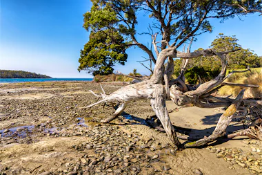 View of Recherche Bay, Australia