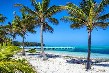 View of Half Moon Caye Reserve, Belize