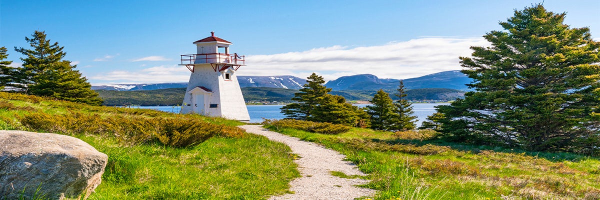 Cruises from Bonne Bay