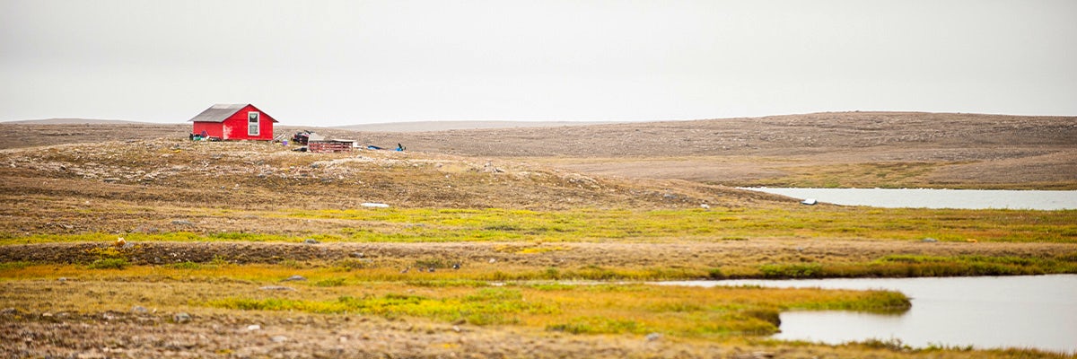 Cruises from Cambridge Bay