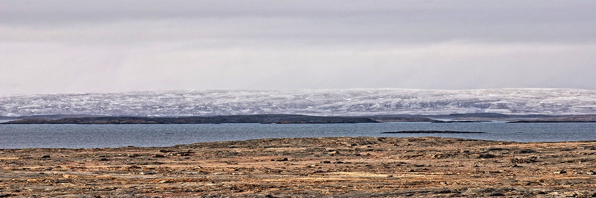 Cruises from Edinburgh Island