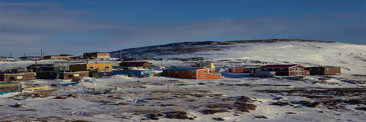 Cruises from Feachem Bay