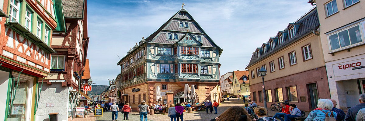 Cruises from Miltenberg