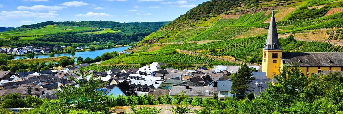 Cruises from Moselle Valley