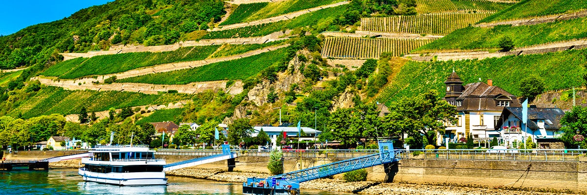 Cruises from Rudesheim