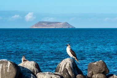 View of Daphne Island, Ecuador