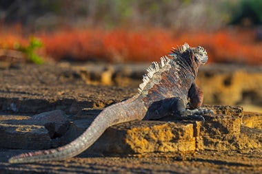 View of Puerto Egas, Ecuador