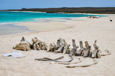View of Isla Española, Ecuador