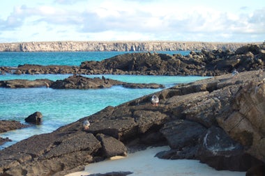 View of Genovesa, Ecuador