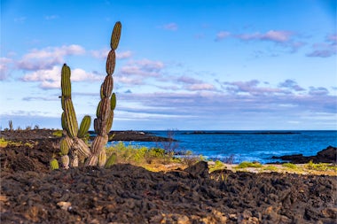View of Punta Moreno, Ecuador