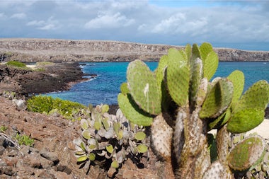 View of Prince Philip Steps, Ecuador