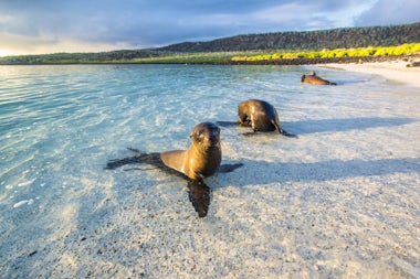 View of Isla Santa Fe, Ecuador