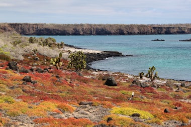 View of South Plaza island, Ecuador