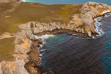 View of Carcass Island, Falkland Islands (Malvinas)