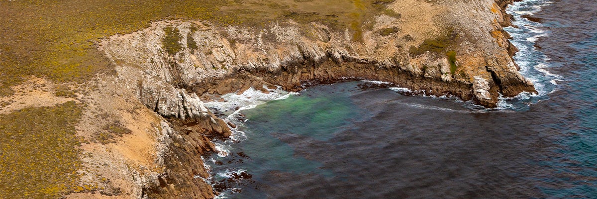 Cruises from Carcass Island