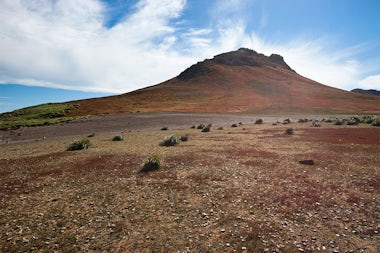 View of Steeple Jason Island, Falkland Islands (Malvinas)