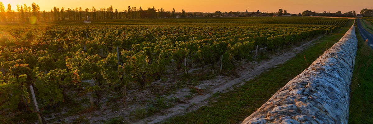 Cruises from Medoc & Margaux Wine Country